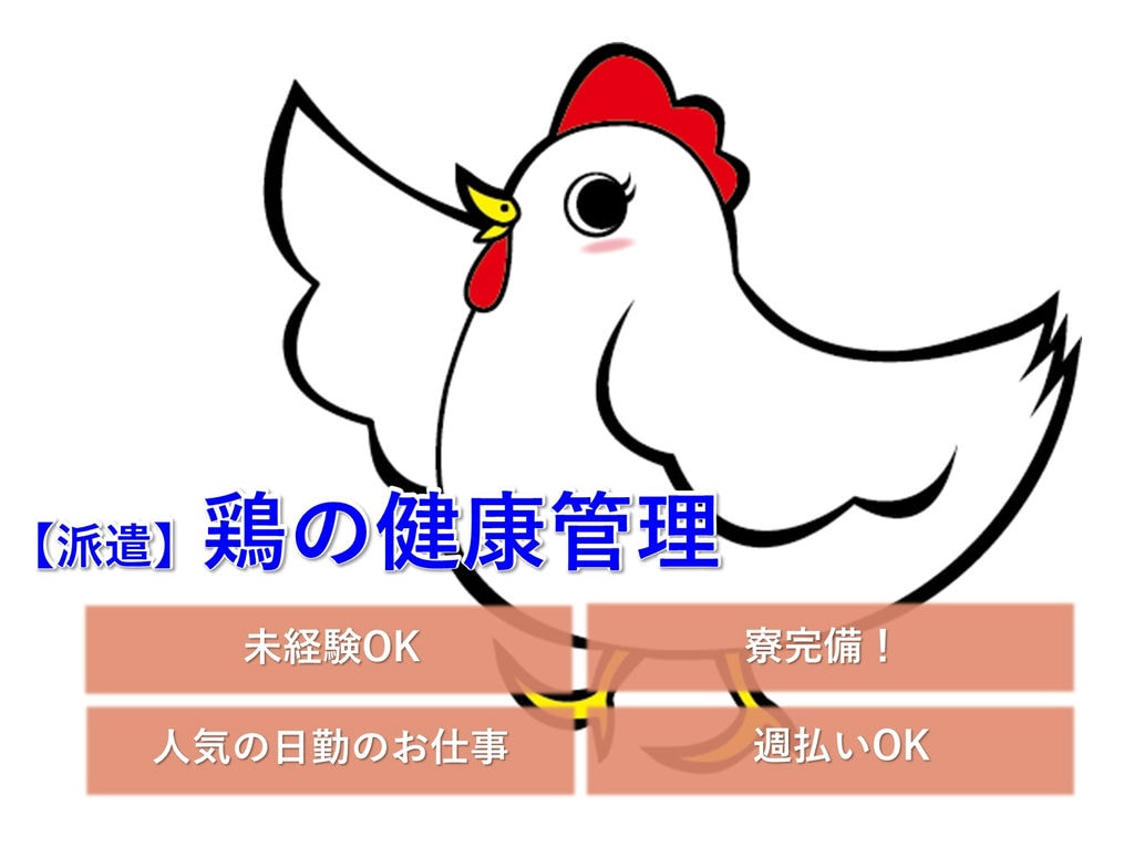 急募【茨城県坂東市 】未経験◎寮完備◎機械センサー見回り・鶏舎内清掃 イメージ