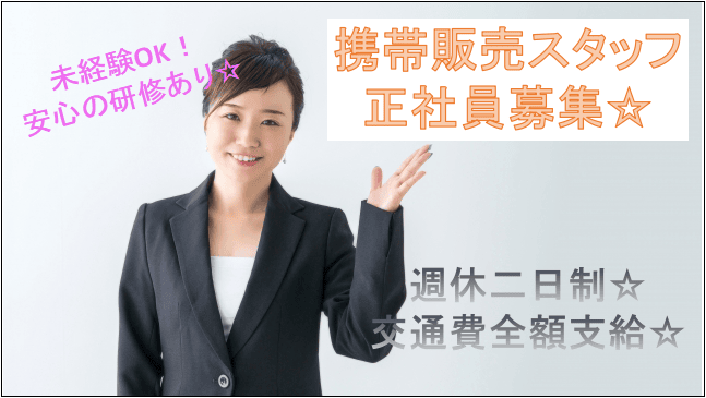 【急募!学歴不問!無資格でも安定した仕事が可能!】家電量販店での提案販売職☆ イメージ