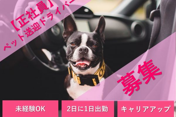 ペットの送迎ドライバー【神戸市東灘区】未経験OK◆2日に1回出勤◆キャリアアップ イメージ