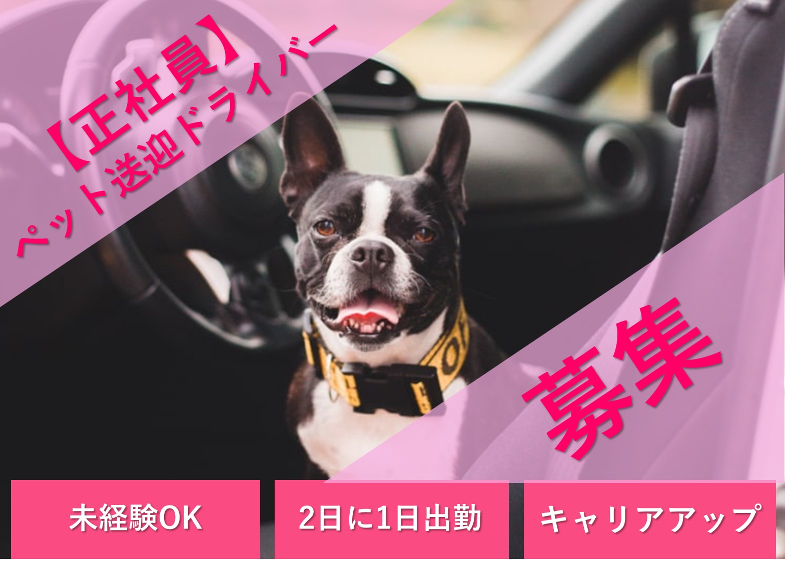 ペットの送迎ドライバー【神戸市東灘区】未経験OK◆2日に1回出勤◆キャリアアップ イメージ